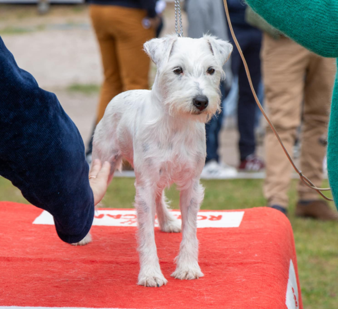 Up Du Jardin D'inuko