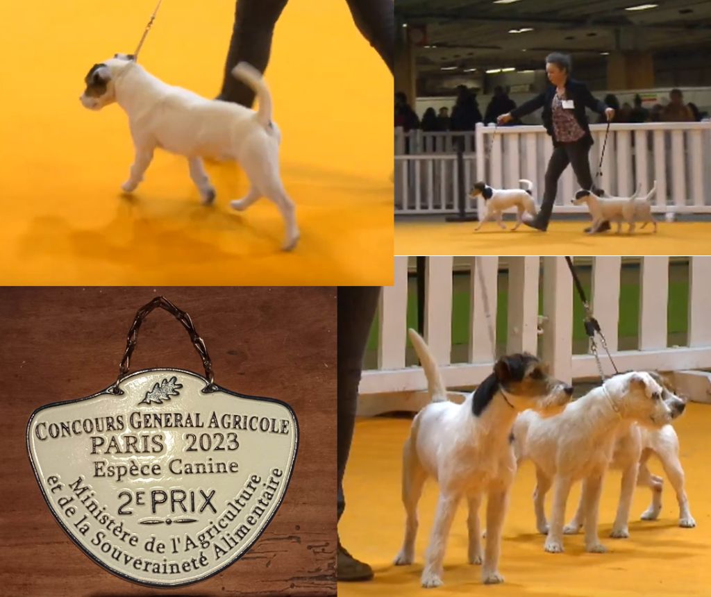 Du Jardin D'inuko - Concours Général Agricole 2023 PARIS