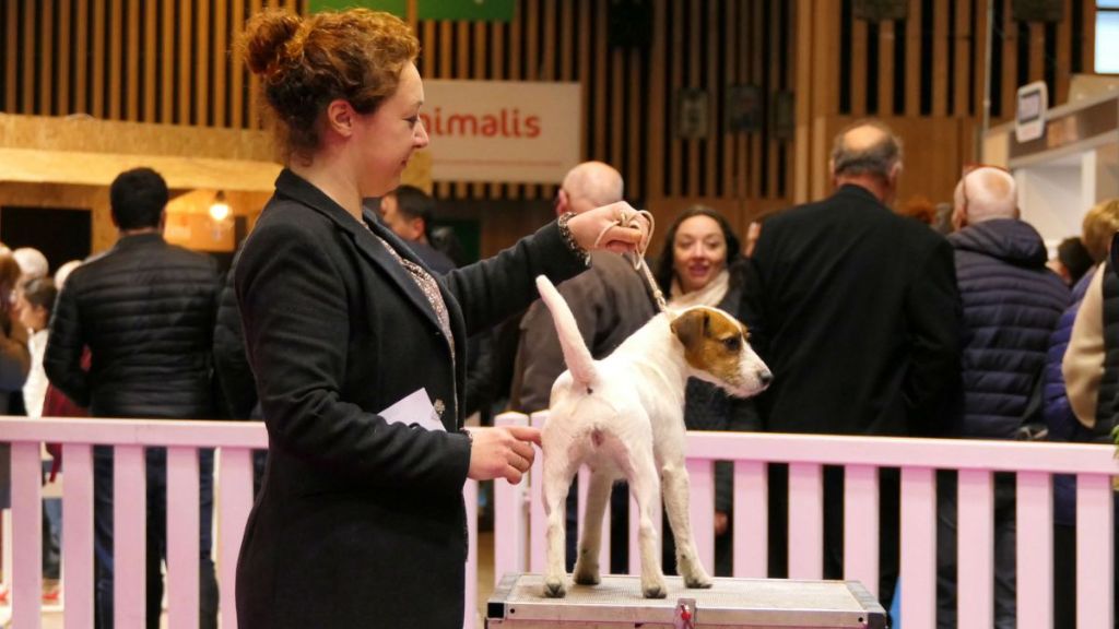 Du Jardin D'inuko - Luna au salon de l'agriculture 2018 !